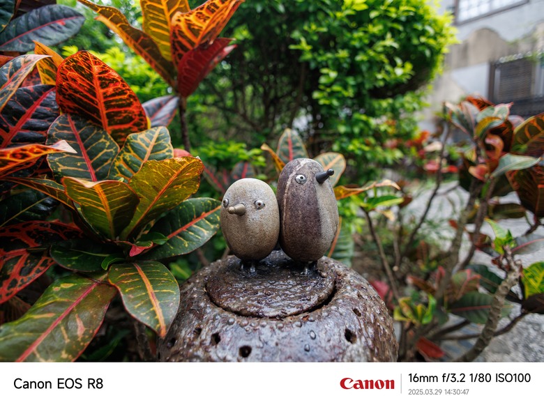 小米15Ultra VS Canon 相機