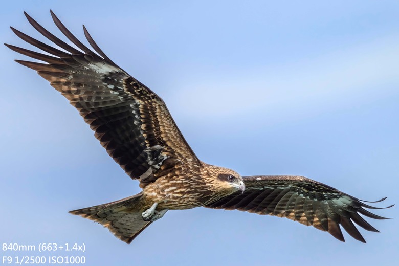 長焦Part3- 尼康Z600 f/6.3 VS Z400 f/4.5 Z180-600+ZTC畫質比較