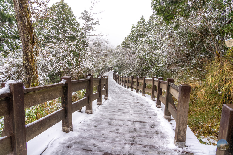 2025太平山稀有三月雪深度旅遊 住宿1040元包早晚餐？日出秘境！