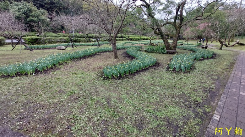 【郊山走走】 紗帽山、橫嶺古道 輕鬆健行
