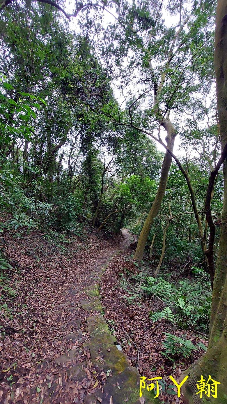 【郊山走走】 紗帽山、橫嶺古道 輕鬆健行