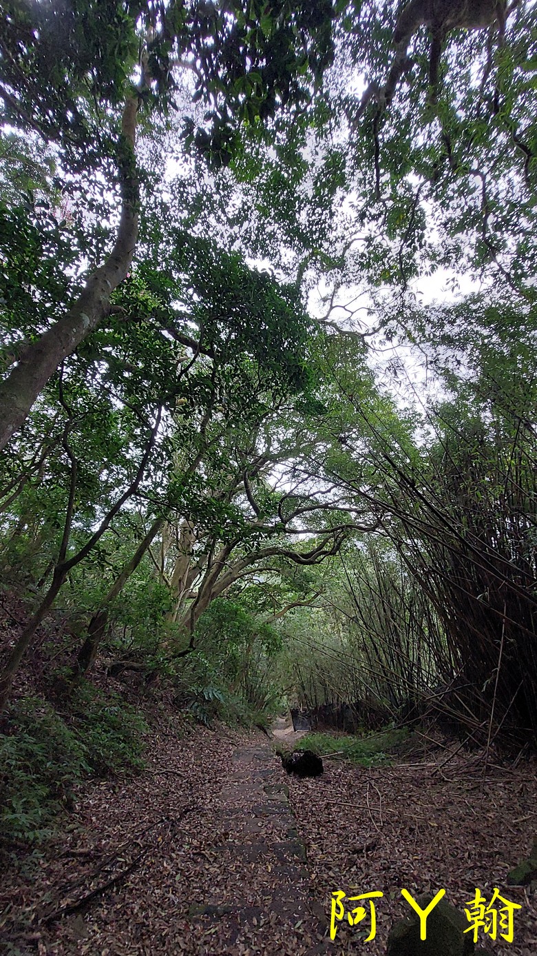 【郊山走走】 紗帽山、橫嶺古道 輕鬆健行