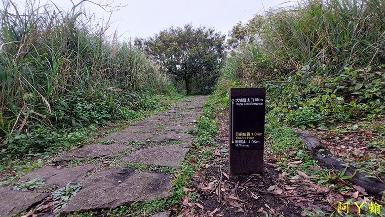 【郊山走走】 紗帽山、橫嶺古道 輕鬆健行