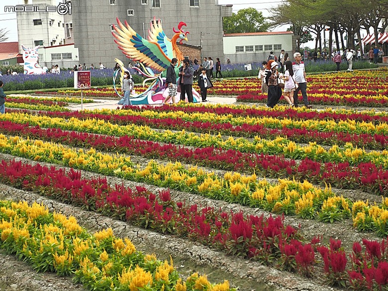 2025學甲蜀葵花文化節、新營波光節與2024 漫月美行動，附掛清安意麵與銀峰冰菓室 — 北臺南藝文活動大彙集