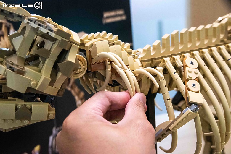 【樂高開箱】LEGO 76968 侏羅紀公園之暴龍化石登場，長度達一公尺的擬真震撼！