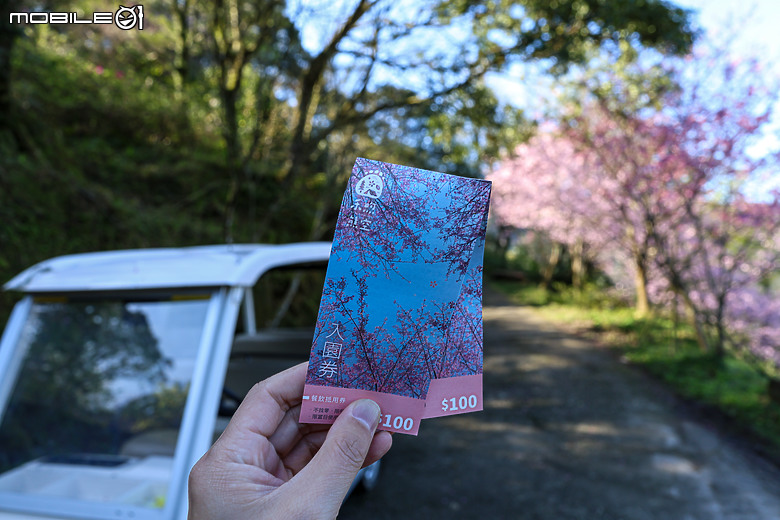 用RF24mm f/1.4L VCM拍下粉紅櫻花林，超夢幻！