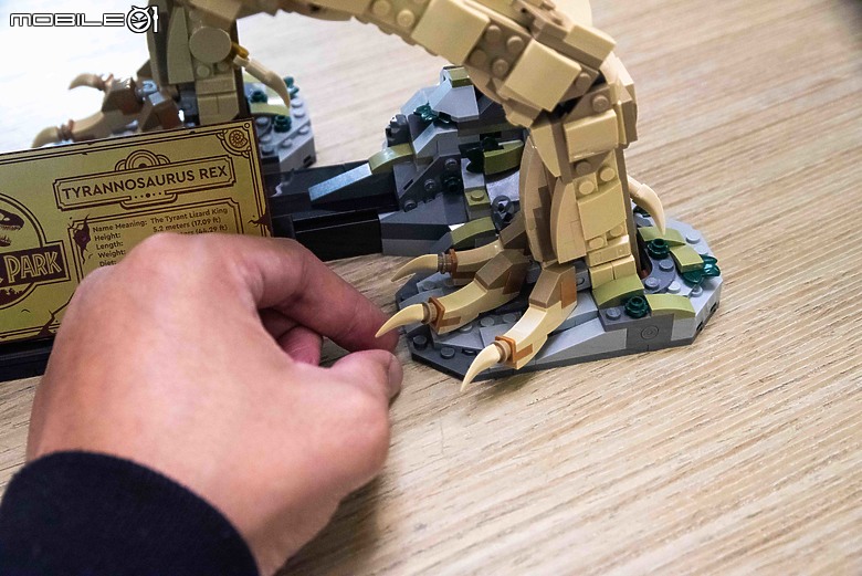 【樂高開箱】LEGO 76968 侏羅紀公園之暴龍化石登場，長度達一公尺的擬真震撼！
