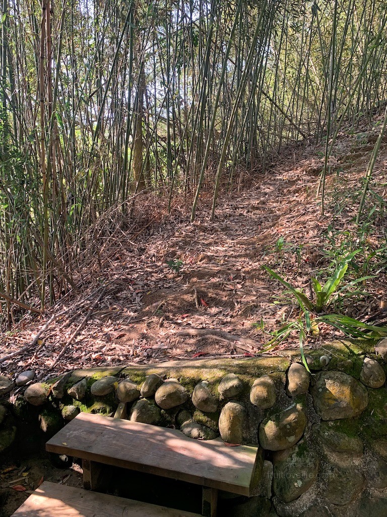 蟲鳴鳥語、竹林群山環繞、星光點點,讓人和毛孩都感到放鬆的渡假莊園