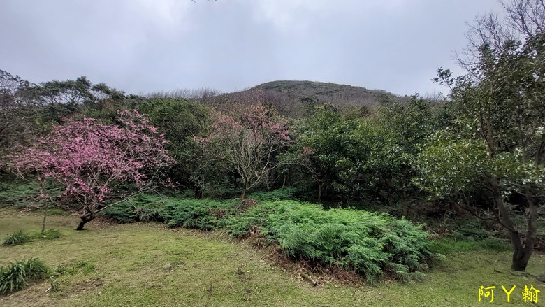 【郊山走走】 紗帽山、橫嶺古道 輕鬆健行