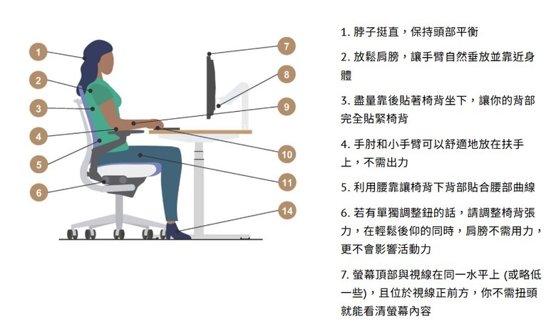 一張好椅子的人體工學基因