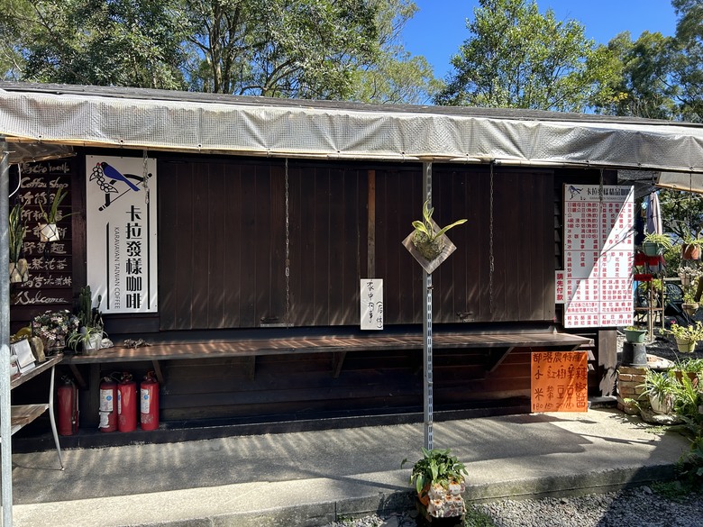 登德文觀望山尋找「吊人樹」之旅