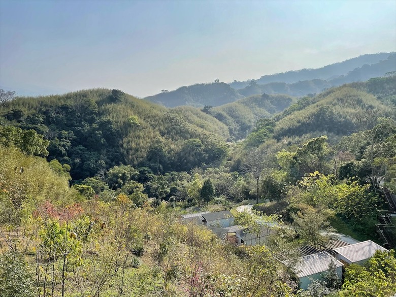 蟲鳴鳥語、竹林群山環繞、星光點點,讓人和毛孩都感到放鬆的渡假莊園