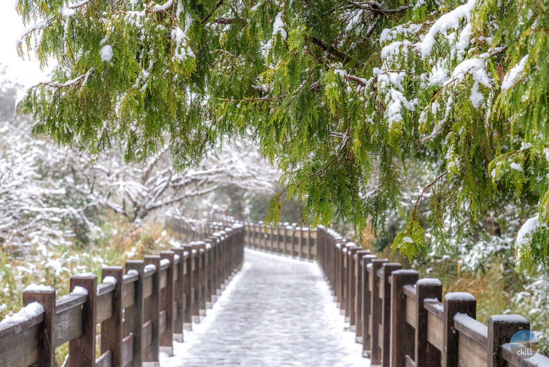2025太平山稀有三月雪深度旅遊 住宿1040元包早晚餐？日出秘境！