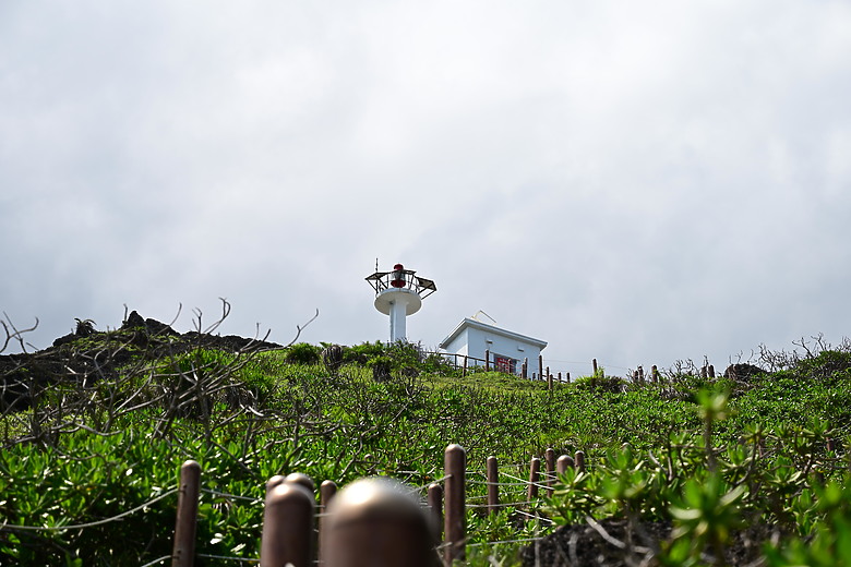 點我看大圖 Nikon Z5II紀錄淡色型和暗色型岩鷺親鳥育雛三隻幼鳥,和高字塔黃腹山雀,最難得三仙台拍到松鴉。
