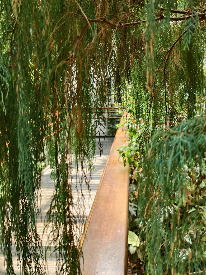 【台北市】花博公園新生園區 (玫瑰展、天使生活館、植物典藏館)