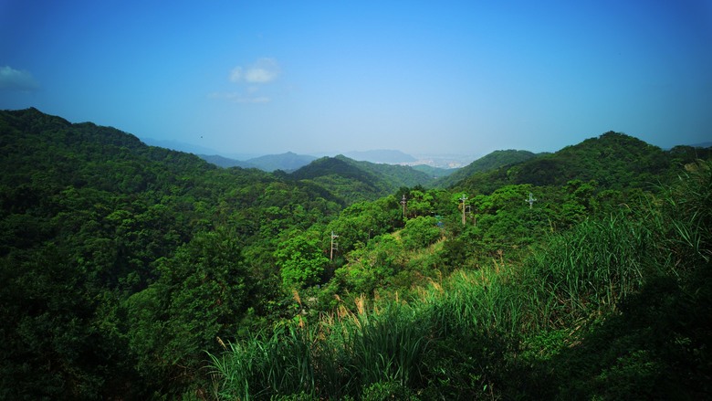 土城火焰山桐花季初探！朝山步道、三粒半、天上山、五城山大縱走！