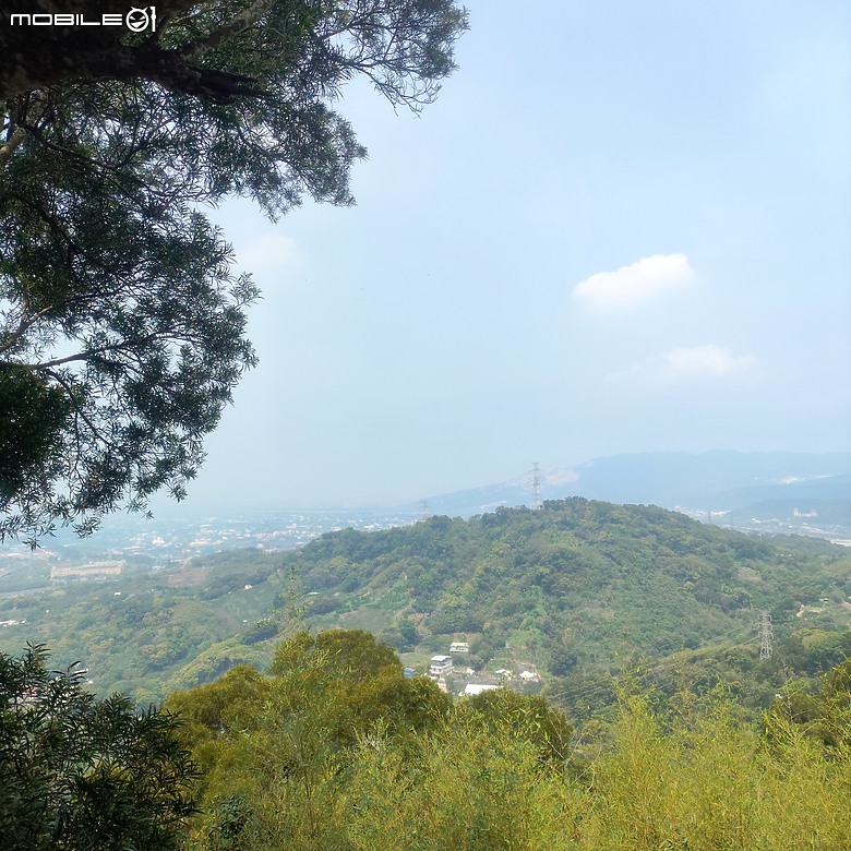 后里區鳳凰山步道+觀音山步道，竹林綠蔭豐富不怕曬的步道!