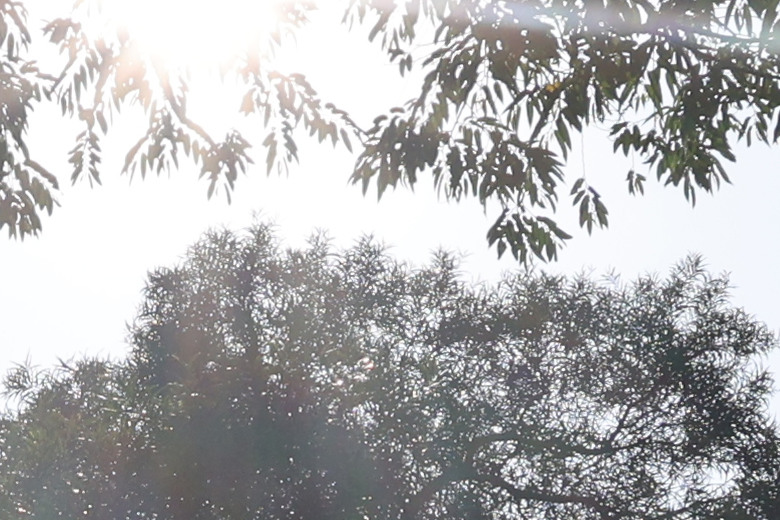 Sigma 16-300mm f/3.5-6.7 DC OS Contemporary 評測報告｜當今 APS-C 旅遊鏡首選！