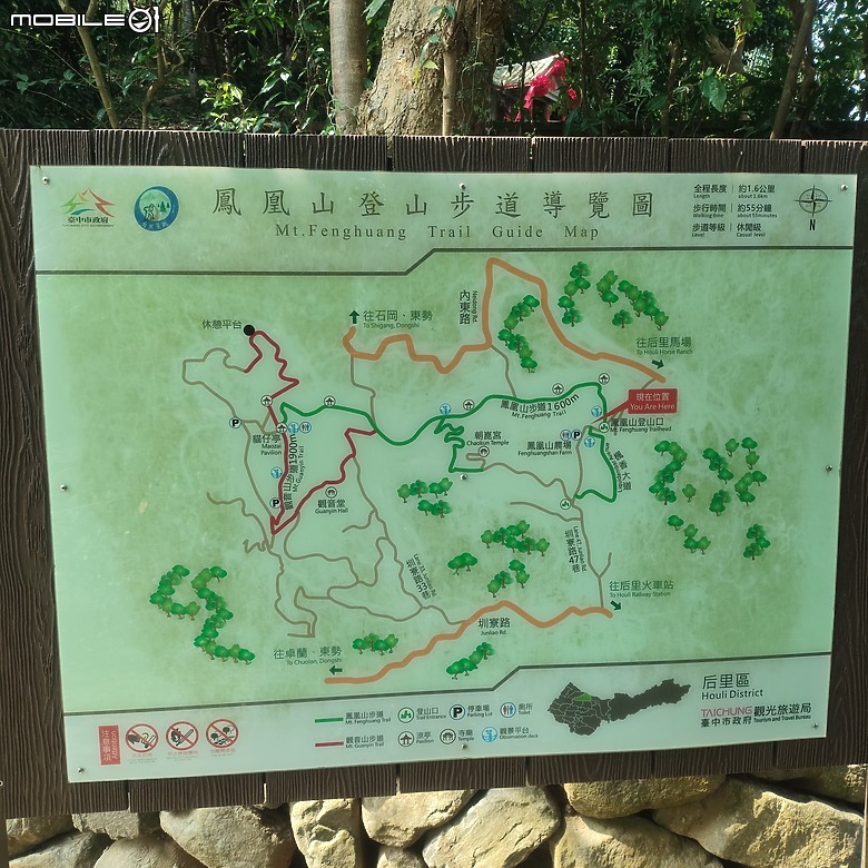 點我看大圖 后里區鳳凰山步道+觀音山步道,竹林綠蔭豐富不怕曬的步道!
