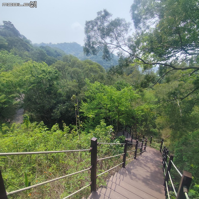后里區鳳凰山步道+觀音山步道，竹林綠蔭豐富不怕曬的步道!