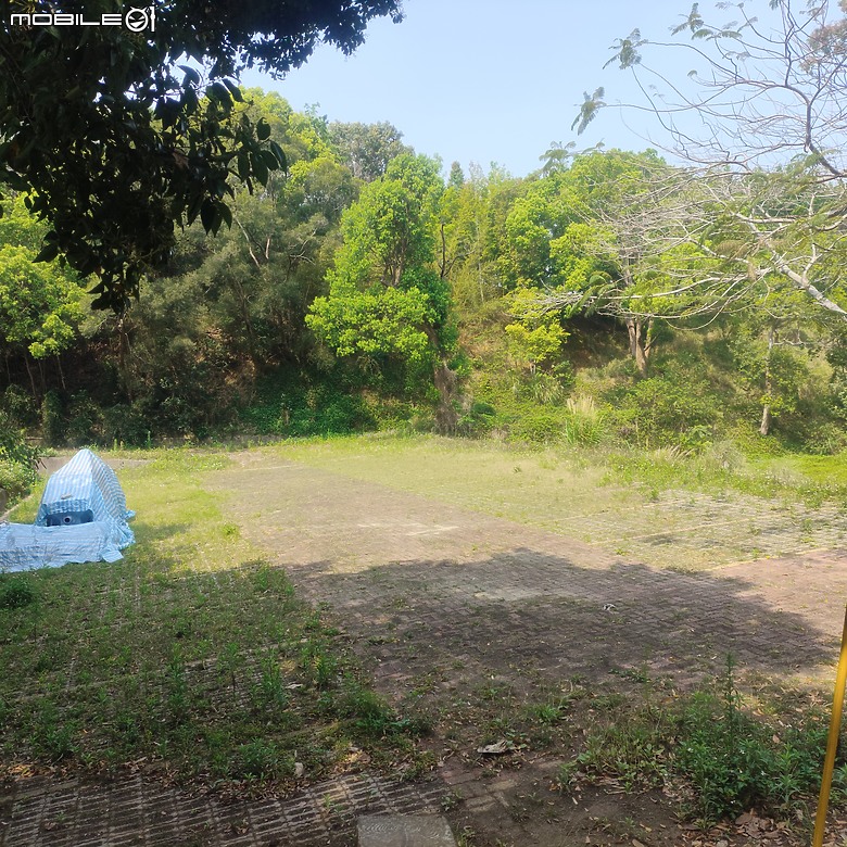 后里區鳳凰山步道+觀音山步道，竹林綠蔭豐富不怕曬的步道!