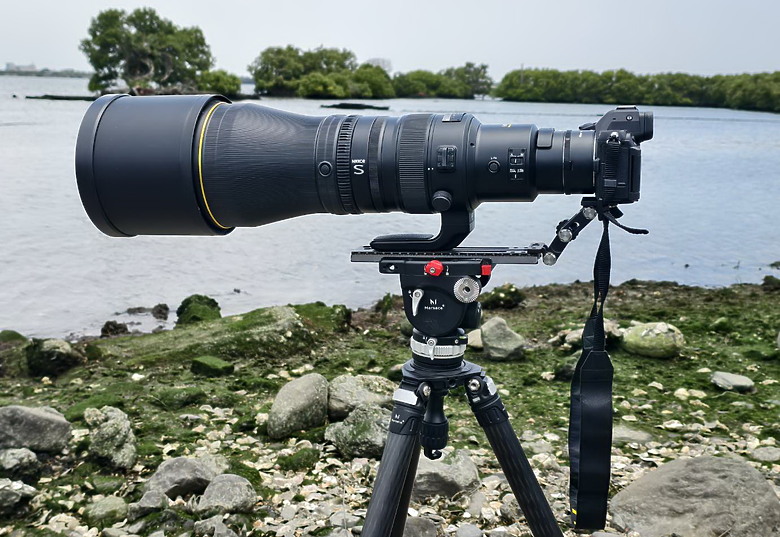 點我看大圖 Nikon Z5II紀錄淡色型和暗色型岩鷺親鳥育雛三隻幼鳥,和高字塔黃腹山雀,最難得三仙台拍到松鴉。