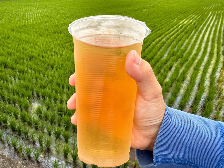 到北斗奠安宮拜拜不能錯過的鹹酥雞店,炸物酥脆爽口不油膩,肉質鮮嫩,飲料也很推薦