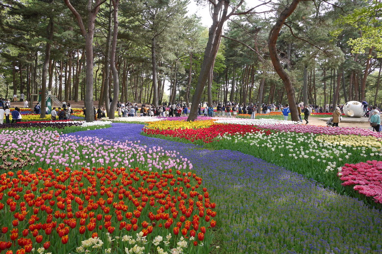 茨城縣 國營常陸海濱公園