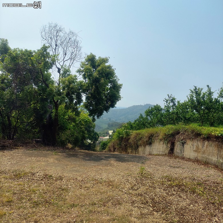 后里區鳳凰山步道+觀音山步道，竹林綠蔭豐富不怕曬的步道!