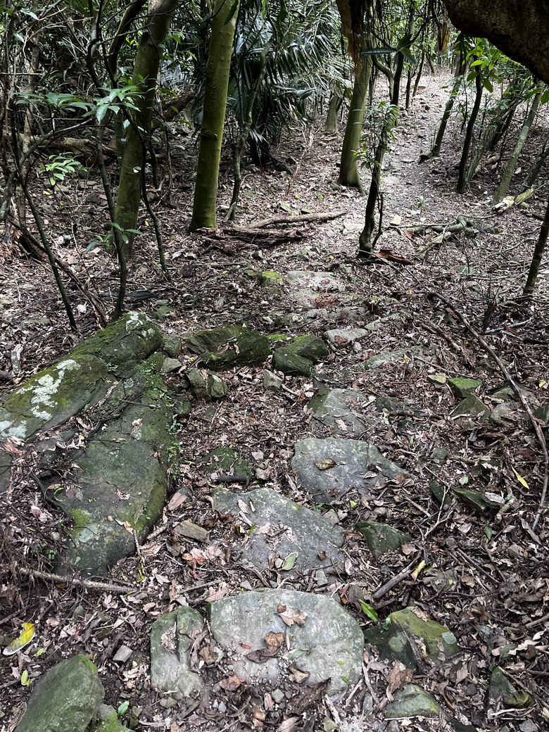 腳又癢了，來爬雪山尾稜北段