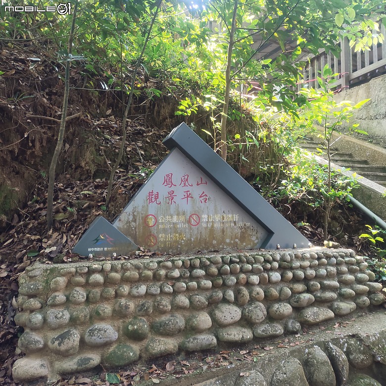 后里區鳳凰山步道+觀音山步道，竹林綠蔭豐富不怕曬的步道!
