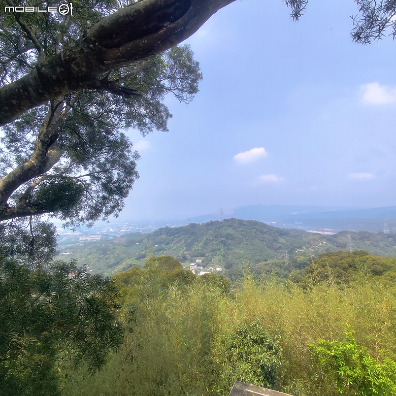 后里區鳳凰山步道+觀音山步道，竹林綠蔭豐富不怕曬的步道!