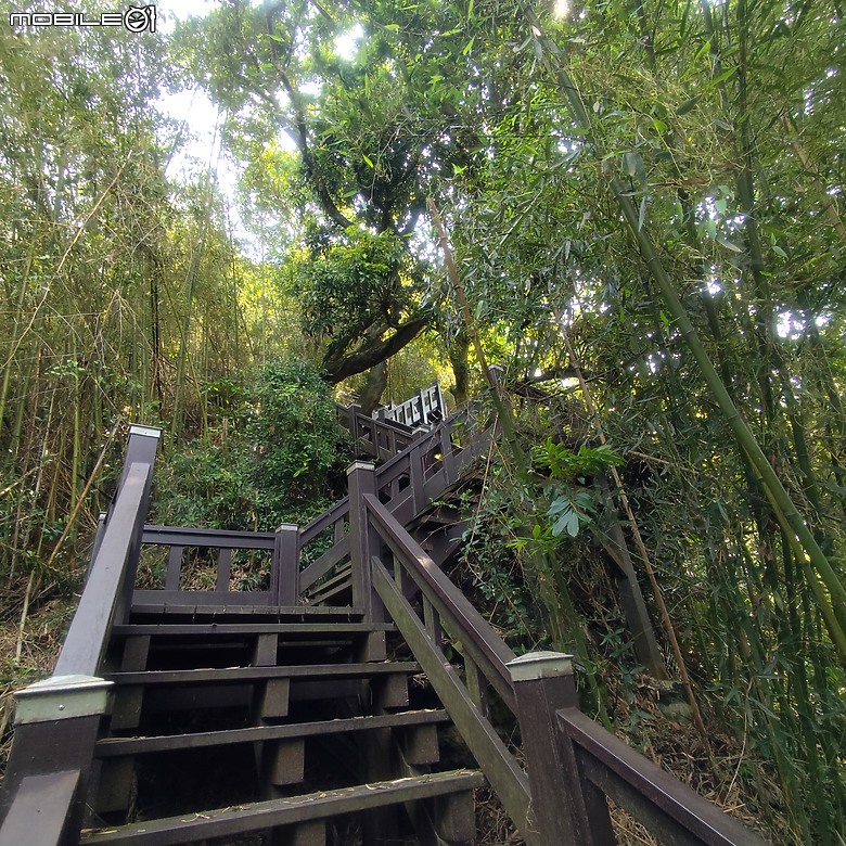 后里區鳳凰山步道+觀音山步道，竹林綠蔭豐富不怕曬的步道!