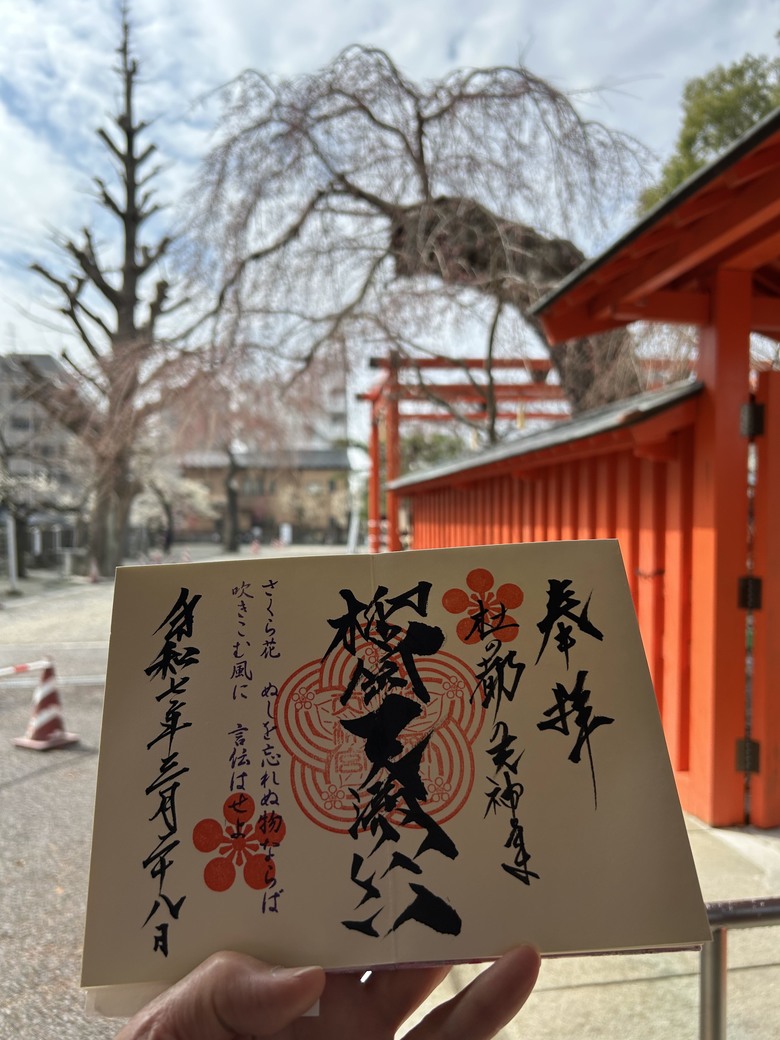仙台第五日，山朱萸，榴岡公園