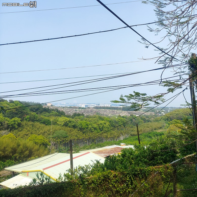 后里區鳳凰山步道+觀音山步道，竹林綠蔭豐富不怕曬的步道!