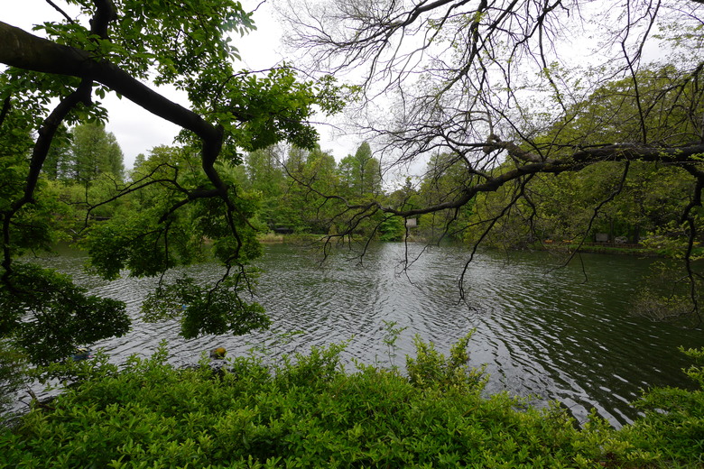 井之頭恩賜公園