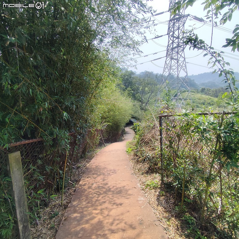 后里區鳳凰山步道+觀音山步道，竹林綠蔭豐富不怕曬的步道!