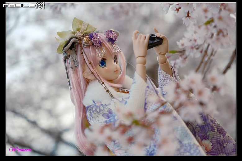 日本partial環島part3-騎過消逝之地的追櫻騎行