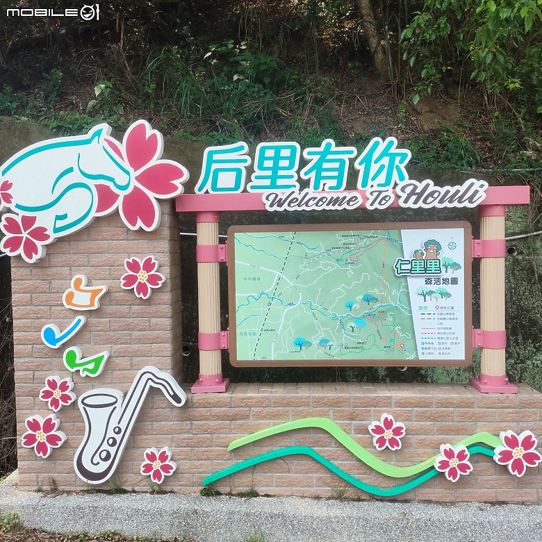 后里區鳳凰山步道+觀音山步道，竹林綠蔭豐富不怕曬的步道!