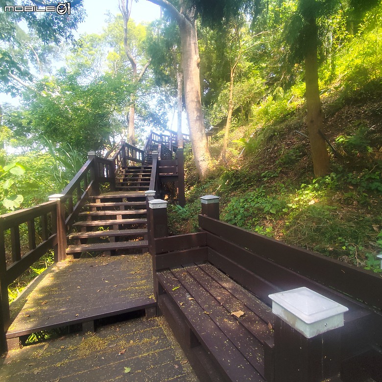 后里區鳳凰山步道+觀音山步道，竹林綠蔭豐富不怕曬的步道!
