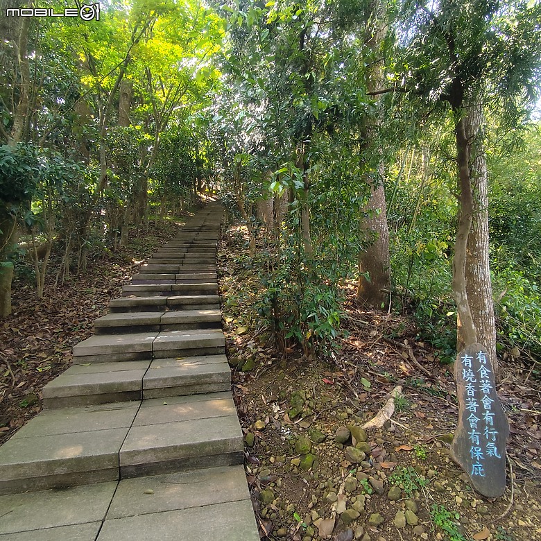 后里區鳳凰山步道+觀音山步道，竹林綠蔭豐富不怕曬的步道!