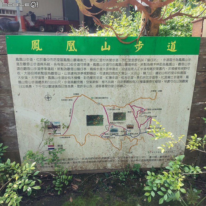 點我看大圖 后里區鳳凰山步道+觀音山步道,竹林綠蔭豐富不怕曬的步道!