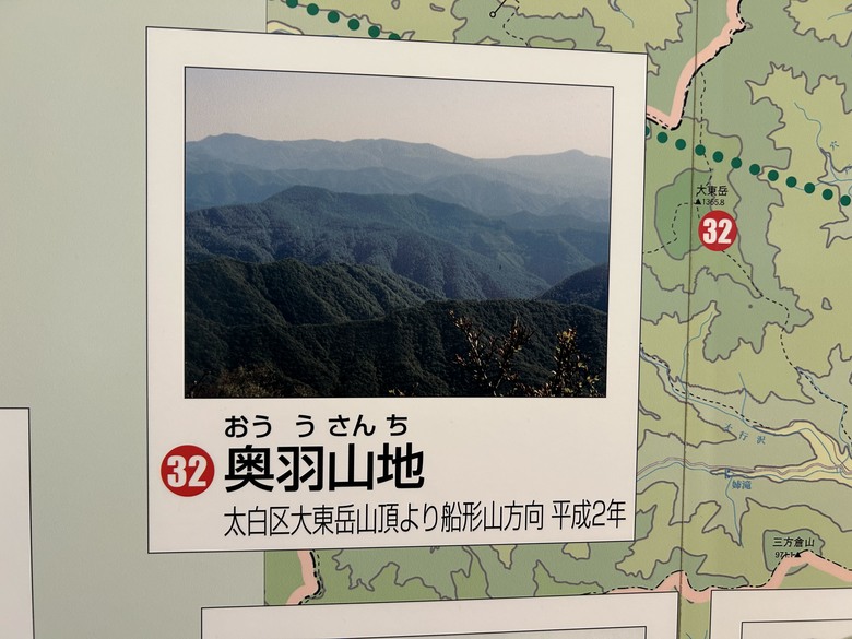 仙台第五日，山朱萸，榴岡公園