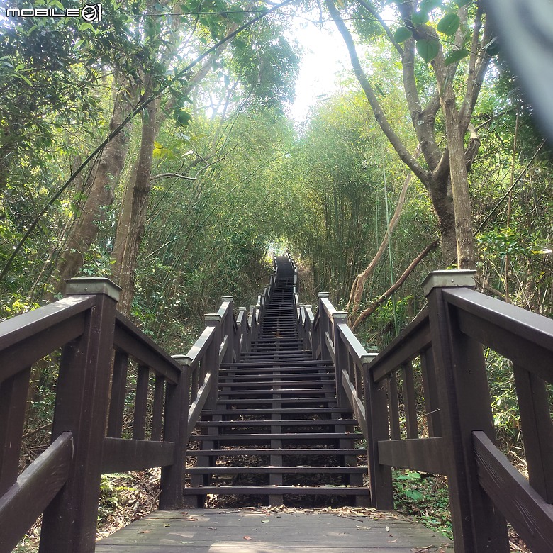 后里區鳳凰山步道+觀音山步道，竹林綠蔭豐富不怕曬的步道!