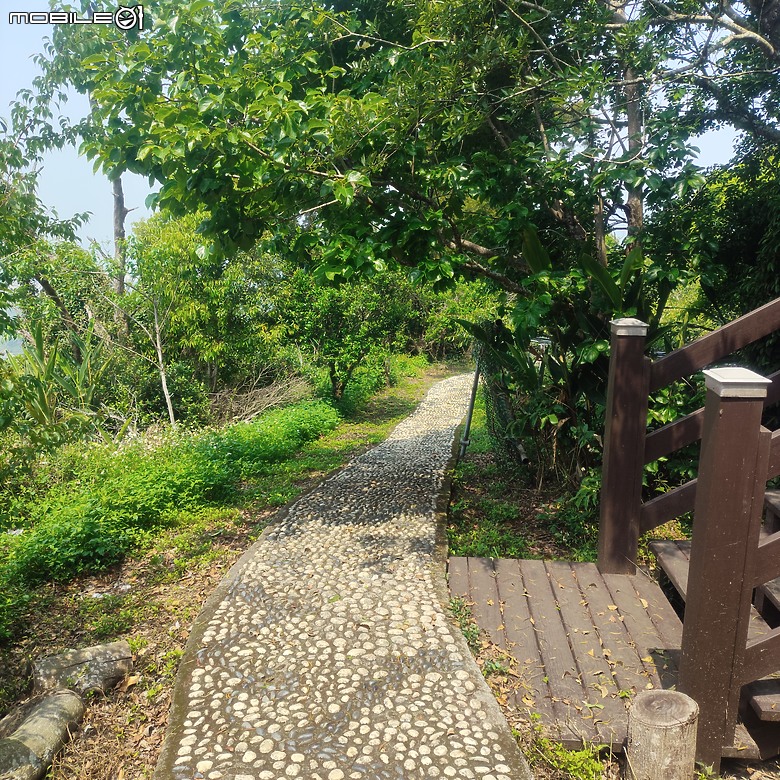 后里區鳳凰山步道+觀音山步道，竹林綠蔭豐富不怕曬的步道!