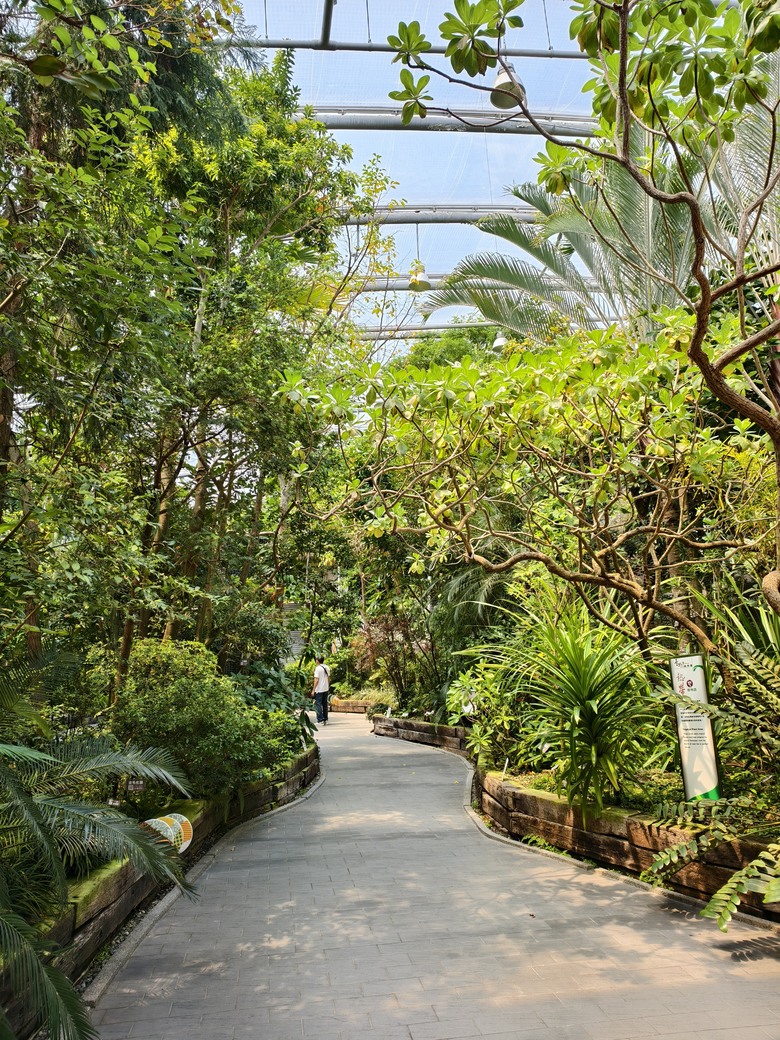 【台北市】花博公園新生園區 (玫瑰展、天使生活館、植物典藏館)