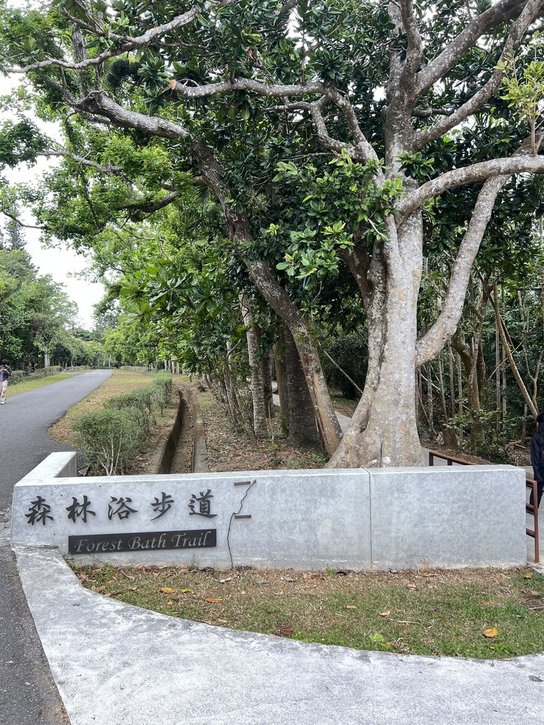 藏在最南點森林裡的龍穴與餐桌——墾丁國家森林遊樂區一日探險