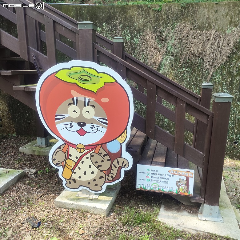 后里區鳳凰山步道+觀音山步道，竹林綠蔭豐富不怕曬的步道!