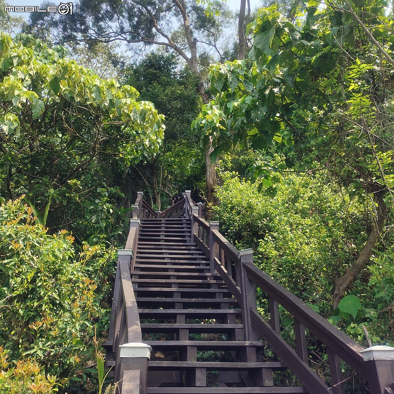 后里區鳳凰山步道+觀音山步道，竹林綠蔭豐富不怕曬的步道!