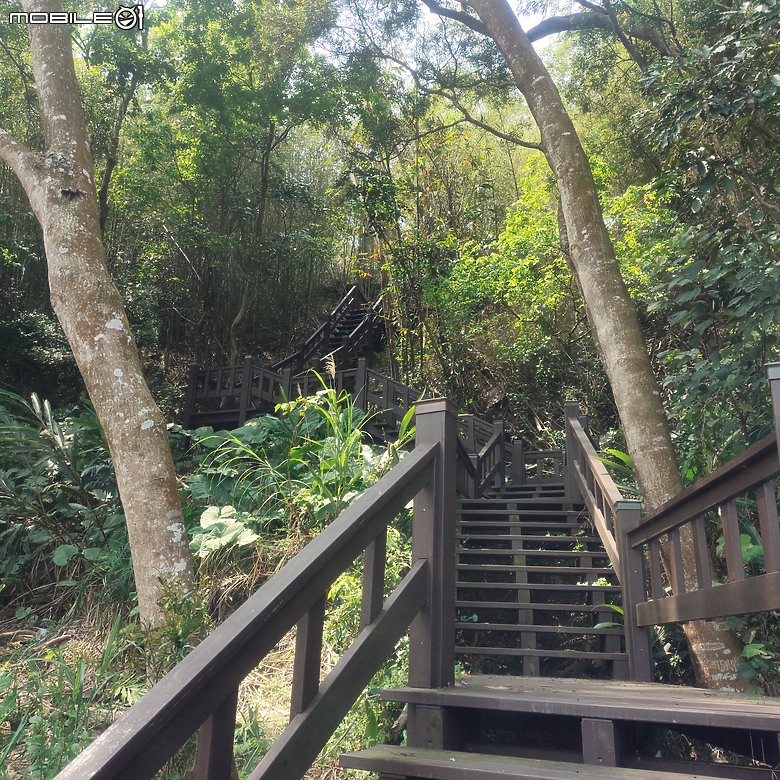 后里區鳳凰山步道+觀音山步道，竹林綠蔭豐富不怕曬的步道!